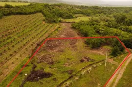 Land For Sale, Non Agricultural