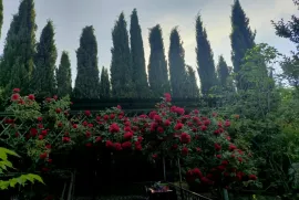 Продается Дом, 6 Kомнатная, Мцхетский район