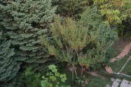 Продается Дом, 6 Kомнатная, Мцхетский район