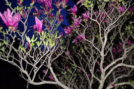 House For Sale, 6 Room, Mtskheta 