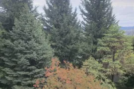 Продается Дом, 6 Kомнатная, Мцхетский район