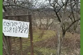 იყიდება მიწის ნაკვეთი, არა სასოფლო - სამეურნეო, ნავდარაანთკარი