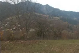 იყიდება მიწის ნაკვეთი, საინვესტიციო, ყვიბისი