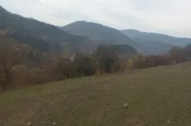 იყიდება მიწის ნაკვეთი, საინვესტიციო, ყვიბისი