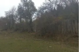 იყიდება მიწის ნაკვეთი, საინვესტიციო, ყვიბისი