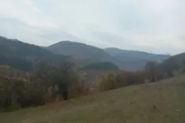 იყიდება მიწის ნაკვეთი, საინვესტიციო, ყვიბისი