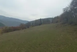 იყიდება მიწის ნაკვეთი, საინვესტიციო, ყვიბისი