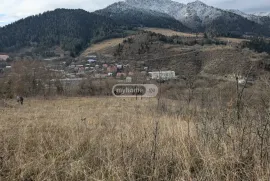 იყიდება მიწის ნაკვეთი, საინვესტიციო, ყვიბისი