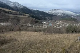 იყიდება მიწის ნაკვეთი, საინვესტიციო, ყვიბისი