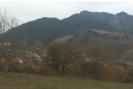 იყიდება მიწის ნაკვეთი, საინვესტიციო, ყვიბისი