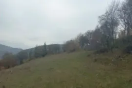 იყიდება მიწის ნაკვეთი, საინვესტიციო, ყვიბისი