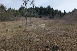 იყიდება მიწის ნაკვეთი, საინვესტიციო, ყვიბისი