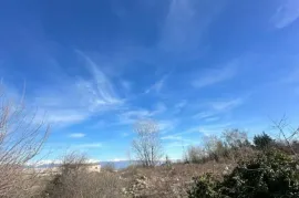 Продается Земля, Не Сельскохозяйственный, Telavi