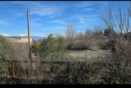 Продается Земля, Не Сельскохозяйственный, Telavi