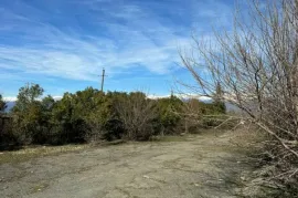 Продается Земля, Не Сельскохозяйственный, Telavi