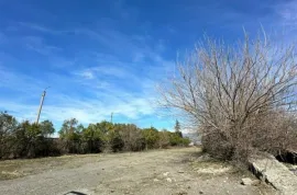 Продается Земля, Не Сельскохозяйственный, Telavi