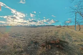 Продается Земля, Сельскохозяйственные, Telavi