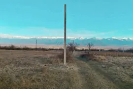 Продается Земля, Сельскохозяйственные, Telavi