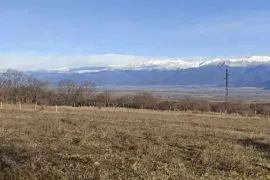 Продается Земля, Сельскохозяйственные, Telavi