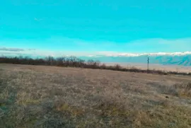 Продается Земля, Сельскохозяйственные, Telavi