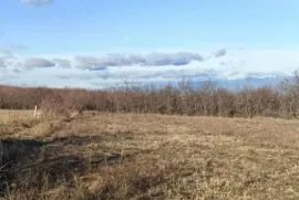 Продается Земля, Сельскохозяйственные, Telavi