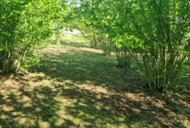 Land For Sale, Non Agricultural, Tsalenjikha