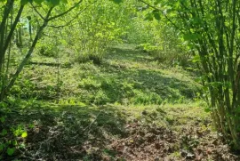 Land For Sale, Non Agricultural, Tsalenjikha