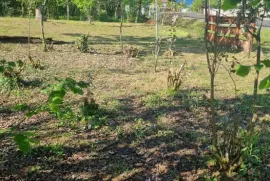 Land For Sale, Non Agricultural, Tsalenjikha