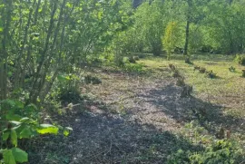 Land For Sale, Non Agricultural, Tsalenjikha