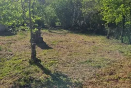 Land For Sale, Non Agricultural, Tsalenjikha