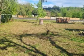 Land For Sale, Non Agricultural, Tsalenjikha