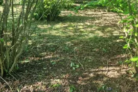 Land For Sale, Non Agricultural, Tsalenjikha