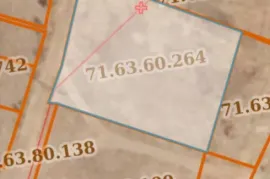 იყიდება მიწის ნაკვეთი, სასოფლო - სამეურნეო, არაგვისპირი