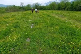 იყიდება მიწის ნაკვეთი, სასოფლო - სამეურნეო, ყვარელი