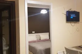 Daily Apartment Rent, 2 Room, New building, Borjomi , Bakuriani