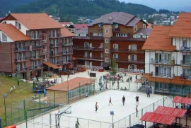 Daily Apartment Rent, 2 Room, New building, Borjomi , Bakuriani