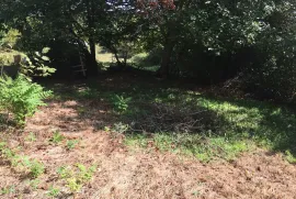 Продается Дом, 5 Kомнатная, Сачхере, Аргвети