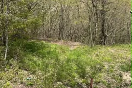 House For Sale, 6 Room, Sagarejo , Ujarma