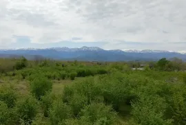 იყიდება მიწის ნაკვეთი, სასოფლო - სამეურნეო, ჩოხატაური