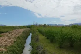 იყიდება მიწის ნაკვეთი, სასოფლო - სამეურნეო, ჩოხატაური