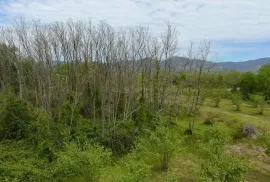 იყიდება მიწის ნაკვეთი, სასოფლო - სამეურნეო, ჩოხატაური