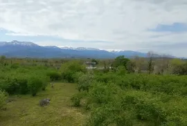 იყიდება მიწის ნაკვეთი, სასოფლო - სამეურნეო, ჩოხატაური