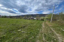 იყიდება მიწის ნაკვეთი, სასოფლო - სამეურნეო, მცხეთა