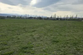 იყიდება მიწის ნაკვეთი, სასოფლო - სამეურნეო, მცხეთა