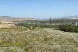 იყიდება მიწის ნაკვეთი