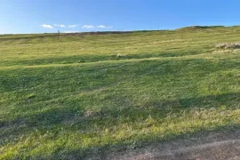 Продается Земля, Сельскохозяйственные, Варкетили