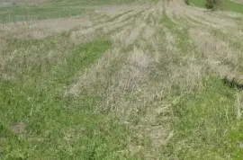 იყიდება მიწის ნაკვეთი, სასოფლო - სამეურნეო, ბაზალეთი 