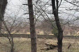 Продается Земля, Не Сельскохозяйственный, Тезери