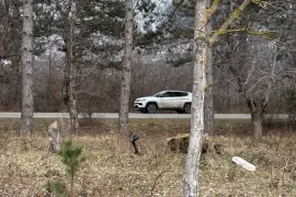 Продается Земля, Не Сельскохозяйственный, Тезери