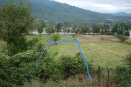 იყიდება მიწის ნაკვეთი, სასოფლო - სამეურნეო, ნავაზი